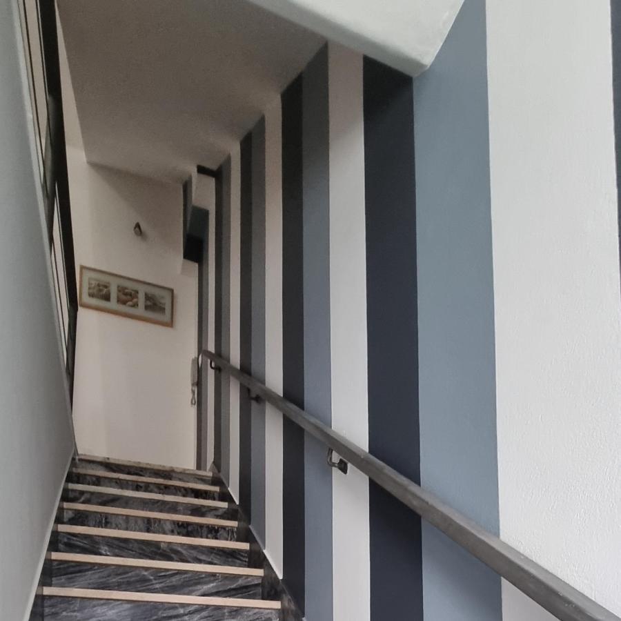 Вилла Casa Da Rua Da Fonte Феррейра-ду-Алентежу Экстерьер фото